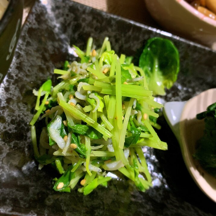 お弁当に豆苗とじゃこの昆布茶ナムル